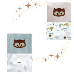 Carnet de santé Hibou