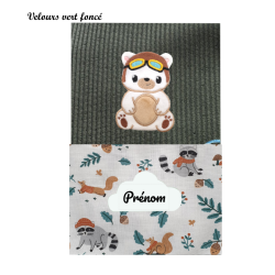 Carnet de santé ourson aviateur