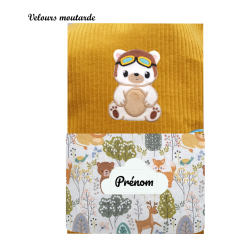 Carnet de santé ourson aviateur