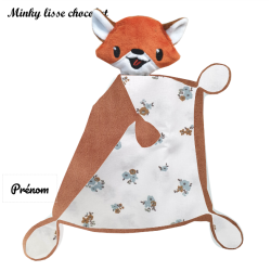 Duo de renards roux