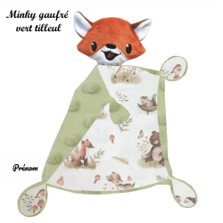 Duo de renards roux