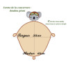 Couverture  Koala aviateur