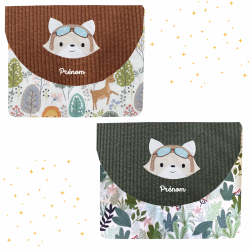 Pochette livre de poche renard aviateur