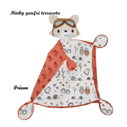 Duo de renards aviateurs