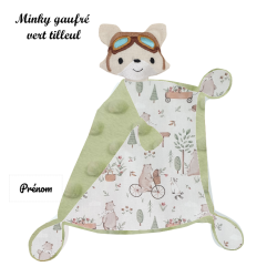 Duo de renards aviateurs