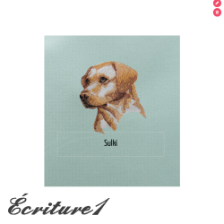 Carnet de santé pour animaux