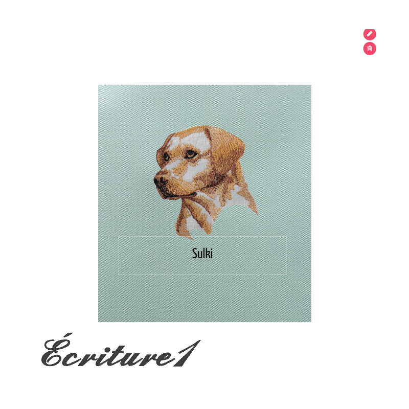 Carnet de santé pour animaux