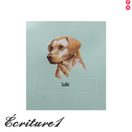 Carnet de santé pour animaux