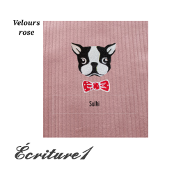 Carnet de santé pour animaux