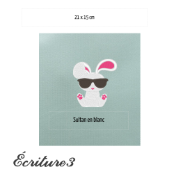 Carnet de santé pour animaux