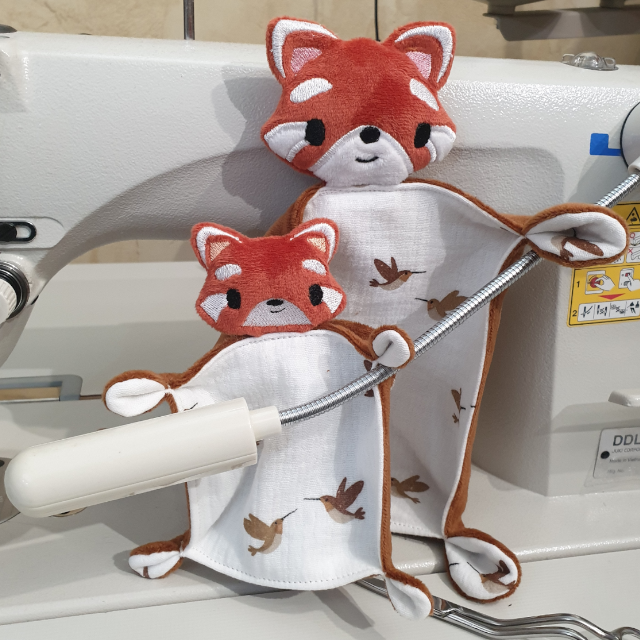 Duo de panda roux