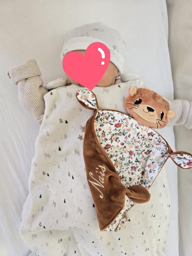 Doudou loutre