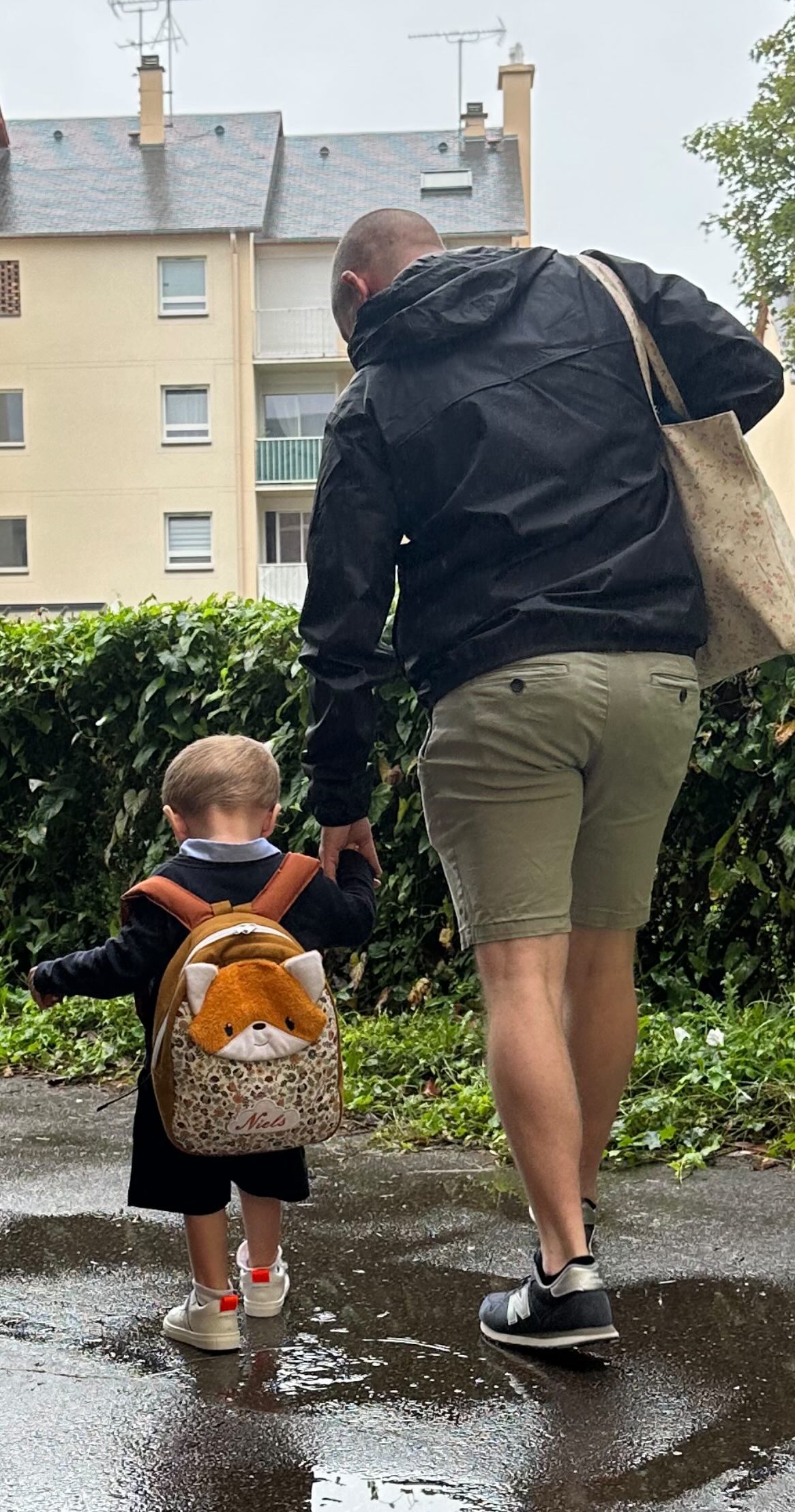 Rentrée pour un autre petit renard
